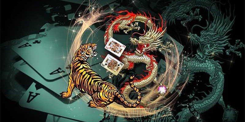 Rồng Hổ là gì câu hỏi được rất nhiều người quan tâm