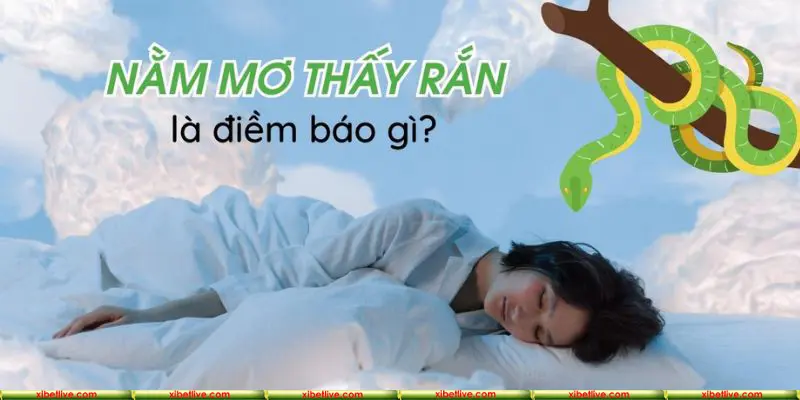 Áp dụng những kinh nghiệm hay để chốt lô hiệu quả