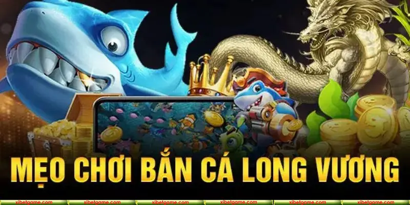 Cách tăng tỷ lệ thắng bắn cá Long Vương tại sân chơi XIBET