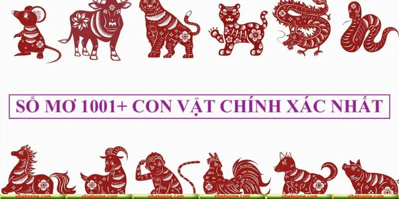 Cùng sân chơi XIBET khám phá điềm báo các giấc mộng kì lạ