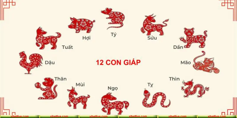 Đừng bỏ lỡ cơ hội làm giàu bằng sổ mơ 12 con giáp XIBET