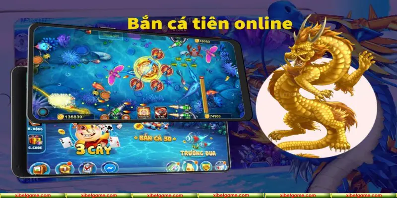 Kiến thức chung về săn cá tiên tại sân chơi XIBET