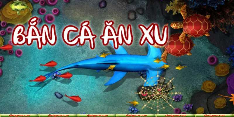 Kiến thức quan trọng cần nắm rõ khi săn cá XIBET