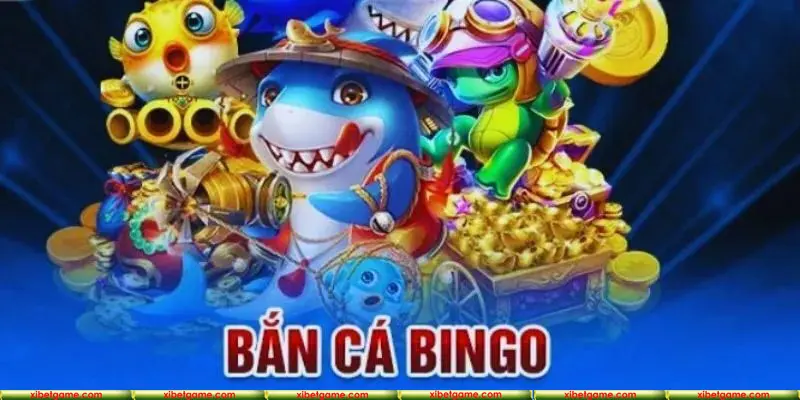 Lý do bắn cá Bingo thu hút đông đảo hội viên