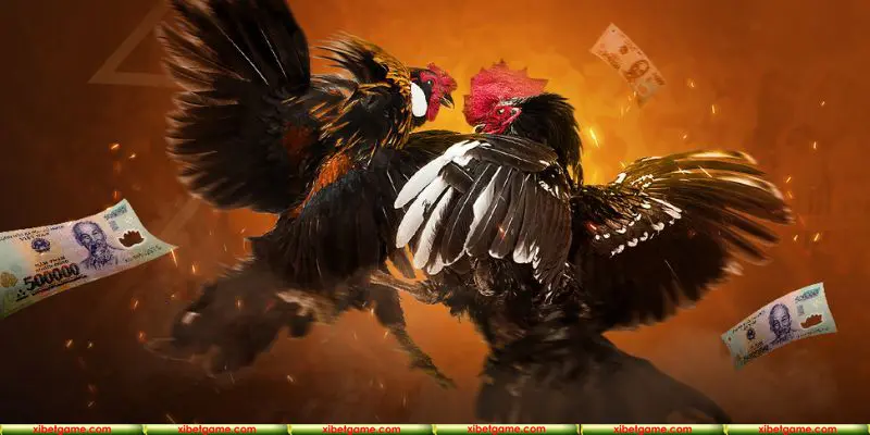 Lý do tựa game hấp dẫn hàng vạn hội viên