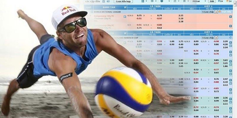 Sự hấp dẫn của bóng chuyền khi đầu tư giải trí
