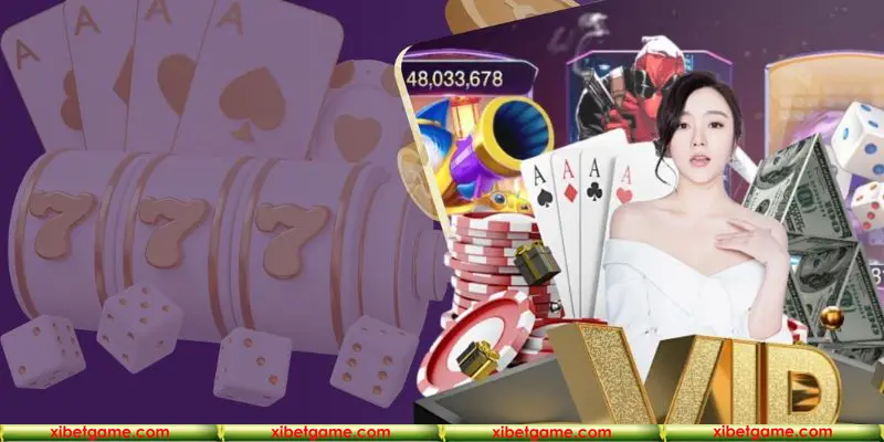 Tham khảo lịch trình và tỷ lệ hoàn trả của nhà cái Xibet
